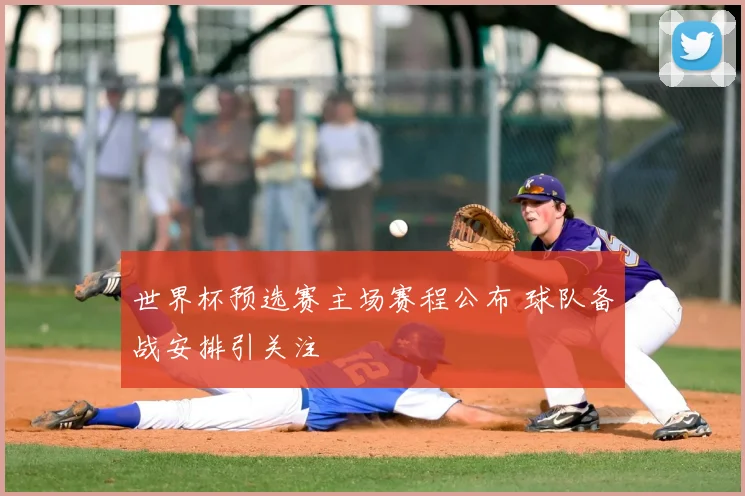 世界杯预选赛主场赛程公布 球队备战安排引关注