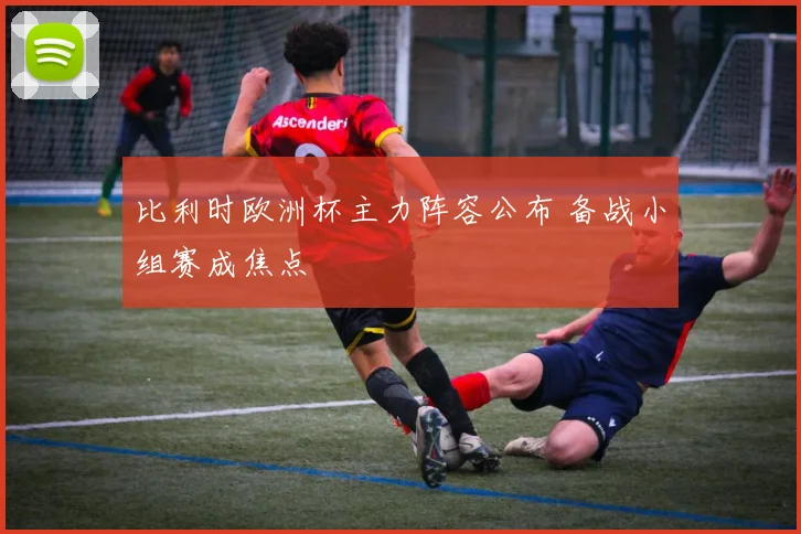 比利时欧洲杯主力阵容公布 备战小组赛成焦点